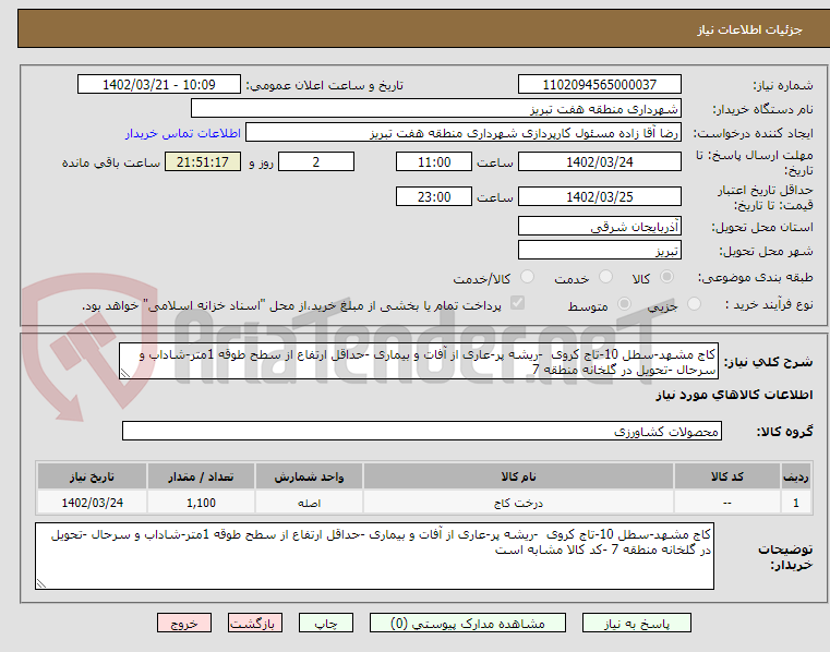 تصویر کوچک آگهی کاج مشهد-سطل 10-تاج کروی  -ریشه پر-عاری از آفات و بیماری -حداقل ارتفاع از سطح طوقه 1متر-شاداب و سرحال -تحویل در گلخانه منطقه 7 