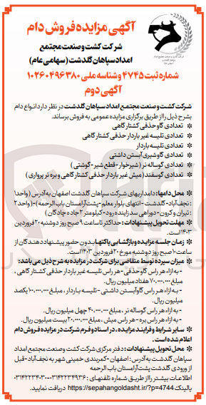تصویر کوچک آگهی فروش انواع دام شامل تعدادی گاو حذفی کشتارگاهی - تعدادی تلیسه غیرباردار حذفی کشتارگاهی - تعدادی تلیسه باردار - تعدادی گاو شیری آبستن داشتی - تعدادی گوساله نر (شیرخوار-قطع شیر - گوشتی) - تعدادی گوسفند(میش غیر باردار حذفی کشتارگاهی و بره نر پرواری) 