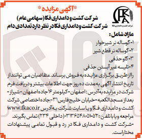 تصویر کوچک آگهی فروش تعدادی دام مازاد شامل گوساله نر شیرخوار - گوساله نر قطع شیر - گاو حذفی - تلیسه غیر آبستن حذفی