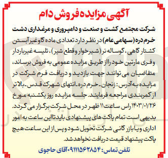 تصویر کوچک آگهی فروش تعدادی گاو  غیر آبستن کشتارگاهی، گوساله نر (شیرخوار و قطع شیر)، تلیسه غیر باردار و فری مارتین خود