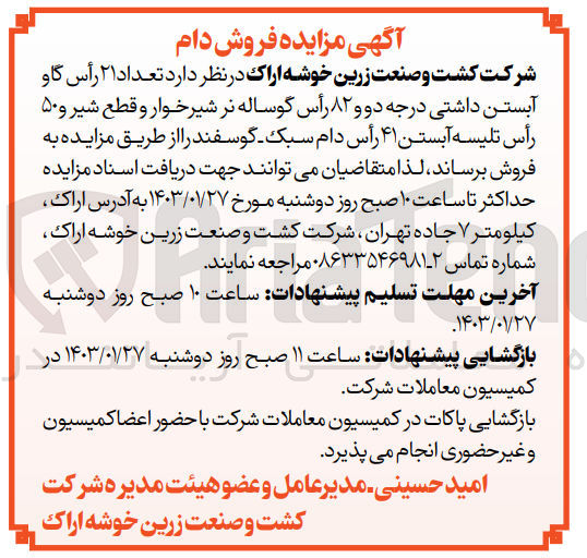 تصویر کوچک آگهی فروش تعداد 21 راس گاو آبستن داشتی درجه دو و 82 راس گوساله نر شیرخوار و قطع شیر و 50 راس تلیسه ابستن 41 راس دام سبک - گوسفند