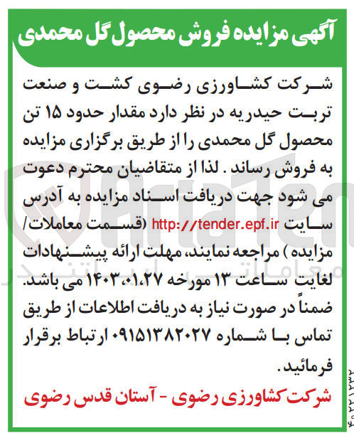 تصویر کوچک آگهی فروش محصول گل محمدی : فروش مقدار حدود 15 تن محصول گل محمدی