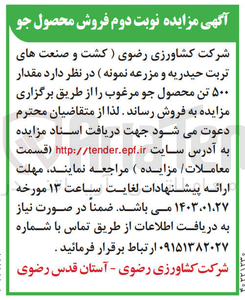تصویر کوچک آگهی فروش مقدار 500 تن محصول جو مرغوب