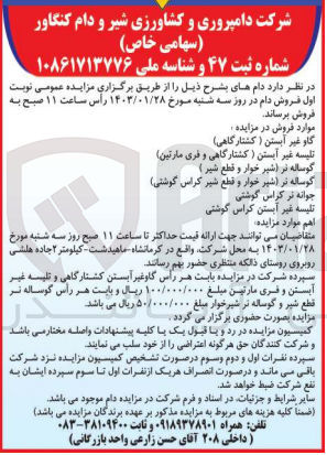 تصویر کوچک آگهی فروش گاو غیر آبستن (کشتارگاهی) - تلیسه غیر آبستن (کشتارگاهی و فری مارتین) - گوساله نر (شیرخوار و قطع شیر) - گوساله نر (شیرخوار و قطع شیر کراس گوشتی) - جوانه نر کراس گوشتی - تلیسه غیر آبستن کراس گوشتی