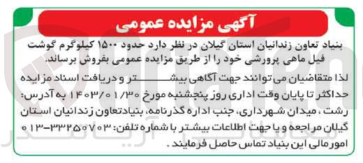 تصویر کوچک آگهی فروش حدود 1500 کیلوگرم گوشت فیل ماهی پرورشی خود