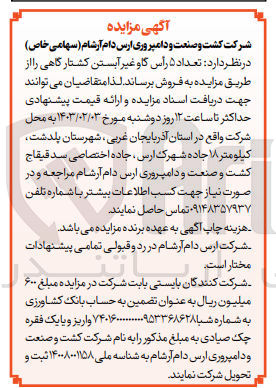 تصویر کوچک آگهی فروش تعداد 5 راس گاو غیرآبستن کشتارگاهی