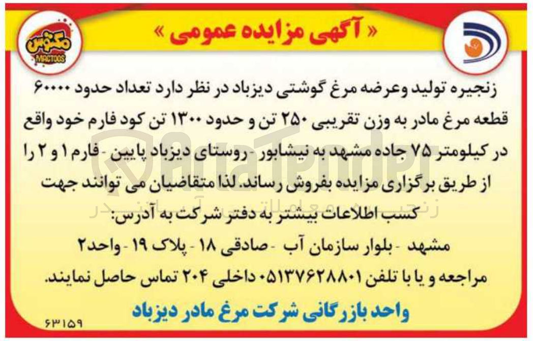 تصویر کوچک آگهی فروش تعداد حدود 60000 قطعه مرغ مادر به وزن تقریبی 250 تن و حدود 1300 تن کود فارم 