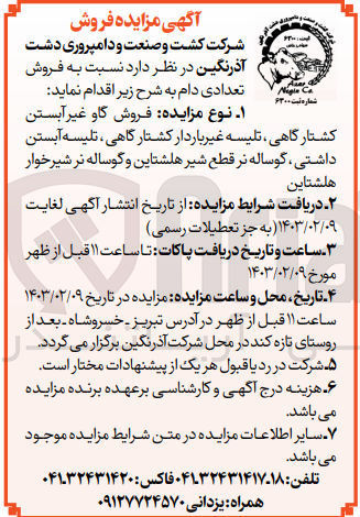 تصویر کوچک آگهی فروش گاو غیر آبستن کشتارگاهی، تلیسه غیر باردار کشتارگاهی، تلیسه آبستن داشتی، گوساله نر قطع شیر هلشتاین و گوساله نر شیرخوار هلشتاین