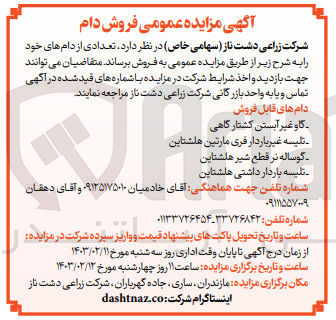 تصویر کوچک آگهی فروش تعدادی از دام های خود : گاو غیر آبستن کشتارگاهی - تلیسه غیر باردار فری مارتین هلشتاین - گوساله نر قطع شیر هلشتاین - تلیسه باردار داشتی هلشتاین