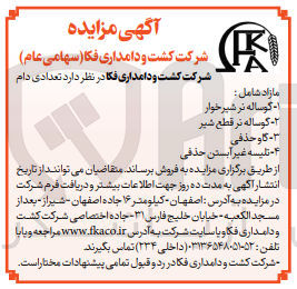 تصویر کوچک آگهی فروش تعدادی دام در 4 ردیف شامل گوساله نر شیرخوار - گوساله نر قطع شیر - گاو حذفی - تلیسه غیر آبستن حذفی