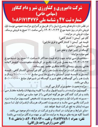 تصویر کوچک آگهی فروش گاو غیر آبستن (کشتارگاهی) - تلیسه غیر آبستن (کشتارگاهی و فری مارتین) - تلیسه آبستن (داشتی) - گوساله نر (شیرخوار و قطع شیر) 