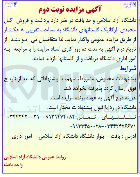 تصویر کوچک آگهی برداشت و فروش گل محمدی ارگانیک گلستانهای دانشگاه به مساحت تقریبی 8 هکتار