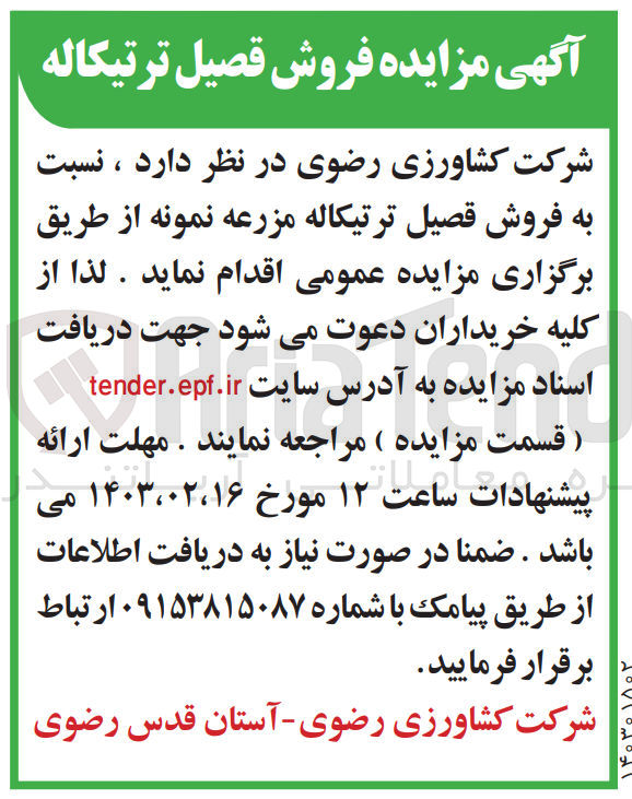 تصویر کوچک آگهی فروش قصیل ترتیکاله مزرعه نمونه خود