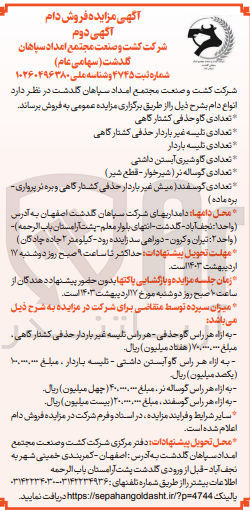 تصویر کوچک آگهی فروش انواع دام شامل تعدادی گاو حذفی کشتارگاهی - تعدادی تلیسه غیرباردار حذفی کشتارگاهی - تعدادی تلیسه باردار - تعدادی گاو شیری آبستن داشتی - تعدادی گوساله نر (شیرخوار-قطع شیر - گوشتی) - تعدادی گوسفند(میش غیر باردار حذفی کشتارگاهی و بره نر پرواری) 