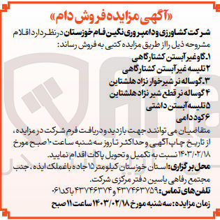 تصویر کوچک آگهی فروش اقلام :1-گاو غیر آبستن کشتارگاهی 2-تلیسه غیرآبستن کشتارگاهی 3-گوساله نرشیر خوار نژاد هلشتاین 4-گوساله نر قطع شیر نژاد هلشتاین5-تلیسه آبستن داشتی 6-کود دامی 