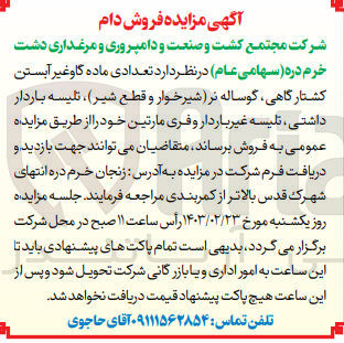 تصویر کوچک آگهی فروش تعدادی ماده گاوغیر آبستن کشتارگاهی گوساله نر شیرخوار و قطع شیر، تلیسه باردار داشتی تلیسه غیر باردار و فری مارتین 
