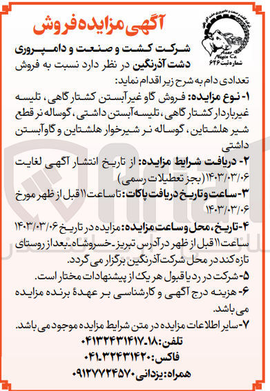 تصویر کوچک آگهی فروش تعددی دام شامل فروش گاو غیر آبستن کشتارگاهی، تلیسه غیر باردار کشتارگاهی، تلیسه آبستن داشتی، گوساله نر قطع شیر هلشتاین، گوساله نر شیرخوار هلشتاین و گاو آبستن داشتی