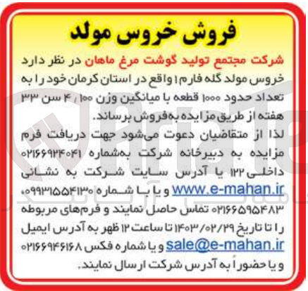 تصویر کوچک آگهی فروش خروس مولد گله فارم 1 واقع در استان کرمان 