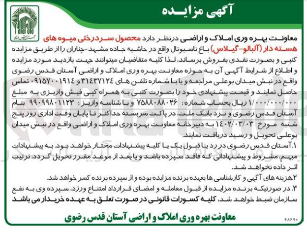 تصویر کوچک آگهی فروش محصول سردرختی میوه های هسته دار (آلبالو -گیلاس )واقع در حاشیه جاده مشهد -چناران 