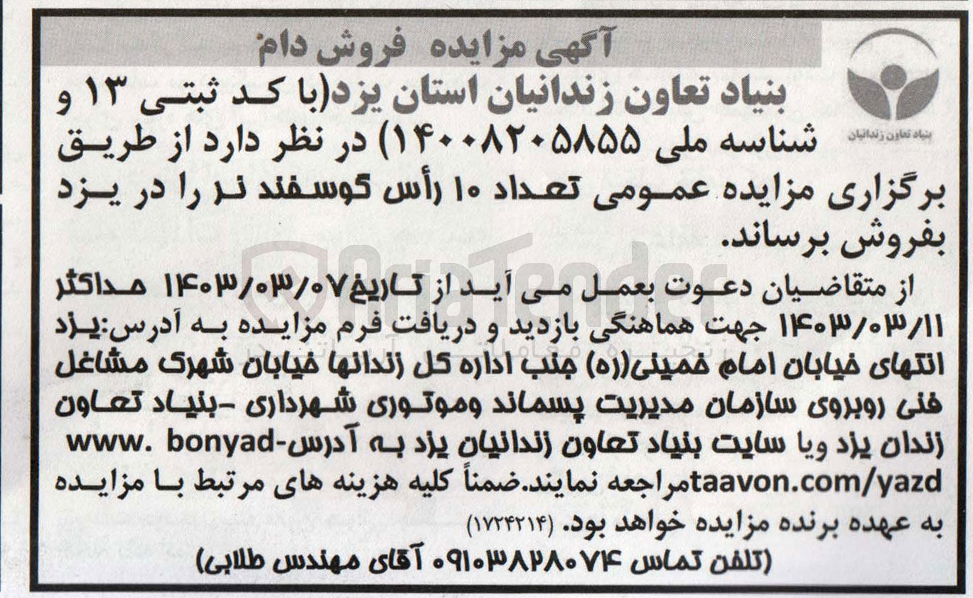 تصویر کوچک آگهی فروش تعداد 10 راس گوسفند نر