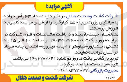تصویر کوچک آگهی فروش تعداد33راس جوانه با میانگین وزن تقریبا 550کیلوگرم
