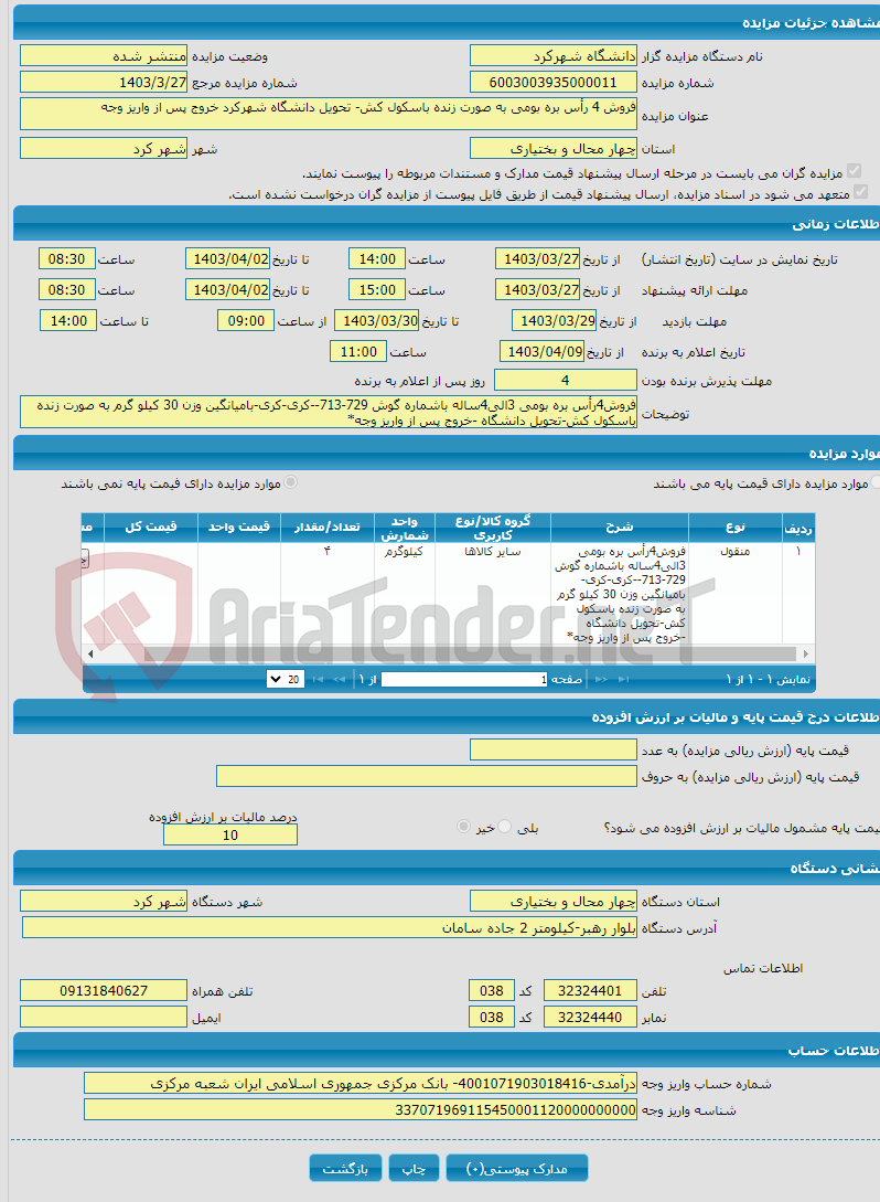 تصویر کوچک آگهی فروش 4 رأس بره بومی به صورت زنده باسکول کش- تحویل دانشگاه شهرکرد خروج پس از واریز وجه