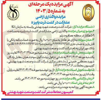 تصویر کوچک آگهی واگذاری اراضی مشارکت در کشت ذرت پاییزه به مساحت 509 هکتار 