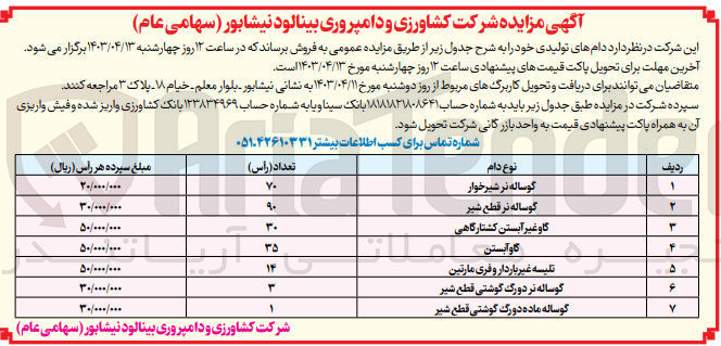 تصویر کوچک آگهی فروش دامهای تولیدی خود :
1- گوساله نر شیرخوار
2- گوساله نر قطع شیر
3- گاو غیر آبستن کشتارگاهی 
4- گاوآبستن
5- تلیسه غیر باردار و فری مارتین
6- گوساله نر دورگ گوشتی قطع شیر
7- گوساله ماده دو رگ گوشتی قطع شیر