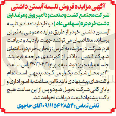 تصویر کوچک آگهی فروش تعدادی تلیسه آبستن داشتی