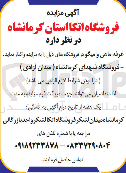 تصویر کوچک آگهی واگذاری غرفه ماهی و میگو در فروشگاه 
