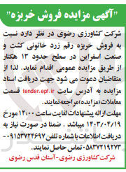 تصویر کوچک آگهی فروش خربزه رقم زرد خاتونی کشت و صنعت اسفراین در سطح حدود 13 هکتار