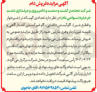 تصویر کوچک آگهی فروش تعدادی گوساله نر شیر خوار و قطع شیر- گاو آبستن داشتی- گاو غیر آبستن کشتارگاهی و تلیسه غیر باردار و فری مارتین 
