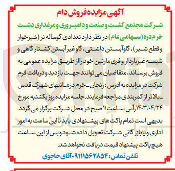 تصویر کوچک آگهی فروش تعدادی گوساله نر (شیرخوار و قطع شیر)،گاو آبستن داشتی ،گاو غیر آبستن کشتارگاهی و تلیسه غیر باردار و فری مارتین 