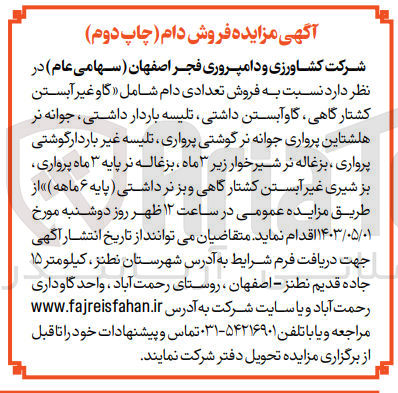 تصویر کوچک آگهی فروش تعدادی دام شامل :گاو غیر آبستن کشتارگاهی -تلیسه باردار داشتی -جوانه نر هلشتاین پرواری -گاو آبستن داشتی و....