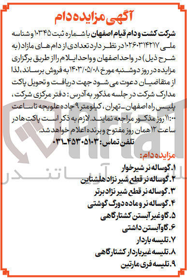 تصویر کوچک آگهی فروش تعدادی دام مازاد شامل :گوساله نر شیرخوار-گاو آبستن داشتی -تلیسه باردار-تلیسه فری مارتین -گاو غیر آبستن کشتارگاهی و....