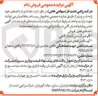 تصویر کوچک آگهی تعدادی از دام های خود :
گاو غیر آبستن کشتار گاهی
گوساله نر قطع شیر هلشتاین
