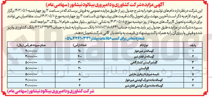 تصویر کوچک آگهی فروش دام های تولیدی خود به شرح:
1- گوساله نر شیرخوار 90 راس
2- گوساله نر قطع شیر 200 راس
3- گاو غیر آبستن کشتارگاهی 30 راس
4- گاو آبستن 20 راس
5- تلیسه غیر باردار و فری مارتین 8 راس
6- گوساله ماده دو رگ گوشتی شیرخوار 3 راس
7- گوساله ماده دو رگ گوشتی قطع شیر 2 راس