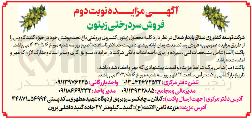 تصویر کوچک آگهی فروش  کلیه محصول زیتون کنسروی و روغنی باغ تحت پوشش خود در حوزه گنبد کاووس