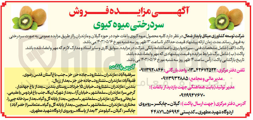 تصویر کوچک آگهی فروش کلیه محصول میوه کیوی باغات خود