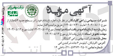 تصویر کوچک آگهی واگذاری اجاره باغ بادام در سطح حدود 54 هکتار 