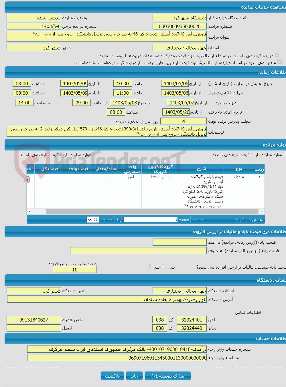 تصویر کوچک آگهی فروش1رأس گاو7ماه آبستن شماره کپل46 به صورت رأسی-تحویل دانشگاه -خروج پس از واریز وجه*