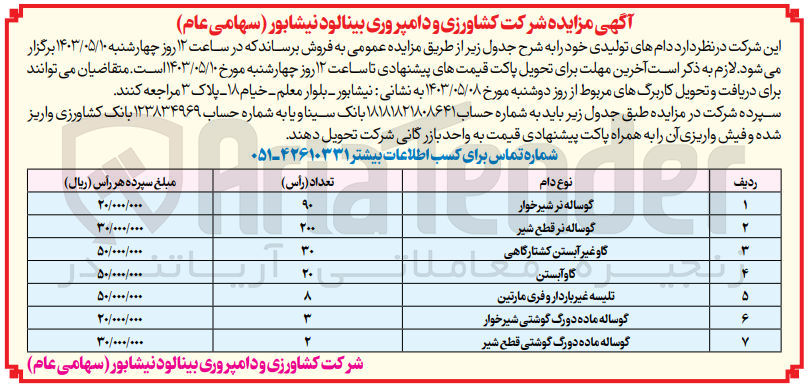 تصویر کوچک آگهی فروش دام های تولیدی خود به شرح ذیل:
گوساله نر شیرخوار 90 راس
گوساله نر قطع شیر 200 راس
گاو غیر آبستن کشتارگاهی 30 راس
گاو آبستن 20 راس
تلیسه غیر باردار و فری مارتین 8 راس
گوساله ماده دورگ گوشتی شیرخوار 3 راس
گوساله ماده دورگ گوشتی قطع شیر 2 راس