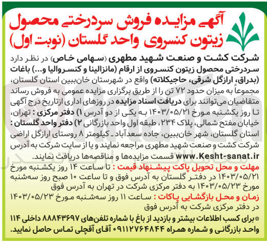 تصویر کوچک آگهی فروش سردرختی محصول زیتون کنسروی از ارقام (مانزالینا و کنسروالیا و..)باغات (بدراق ،ارازگل شرقی ،حاجیکلاته) به میزان حدود 72 تن 