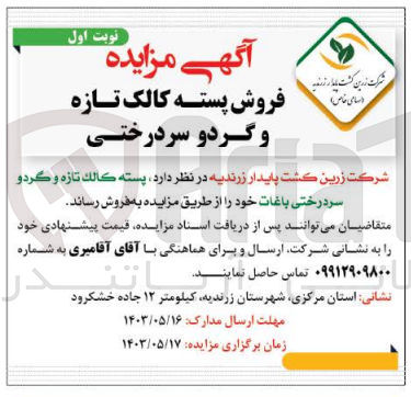 تصویر کوچک آگهی فروش پسته کالک تازه و گردو سردرختی باغات 