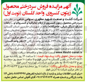 تصویر کوچک آگهی فروش سردرختی محصول زیتون کنسروی از ارقام (مانزالینا و کنسروالیا و....) باغات (بدراق ارازگل شرقی، حاجیکلاته) مجموعا به میزان حدود ۷۲ تن