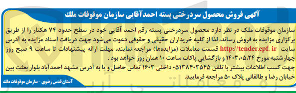 تصویر کوچک آگهی فروش محصول سردرختی پسته 