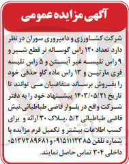 تصویر کوچک آگهی فروش تعداد ۱۲۰ راس گوساله نر قطع شیر و ۹ راس تلیسه غیر آبستن و ۵ راس تلیسه فری مارتین و ۱۳ راس ماده گاو حذفی