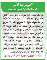 تصویر کوچک آگهی فروش آلایش حاصل از ذبح دام سبک (بره نرینه )کشتارگاه مزرعه نمونه خود