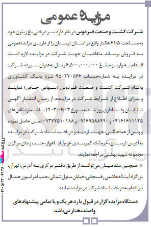 تصویر کوچک آگهی فروش سر درختی باغ زیتون خود به مساحت ۶۱/۵ هکتار