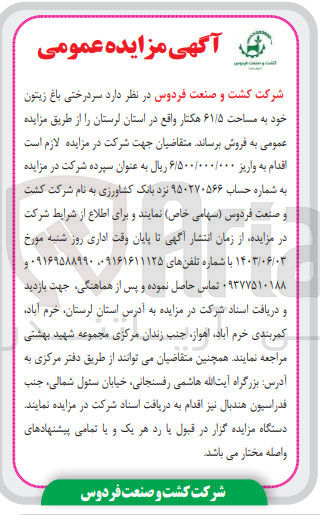 تصویر کوچک آگهی فروش سردرختی باغ زیتون خود به مساحت ۶۱/۵ هکتار 